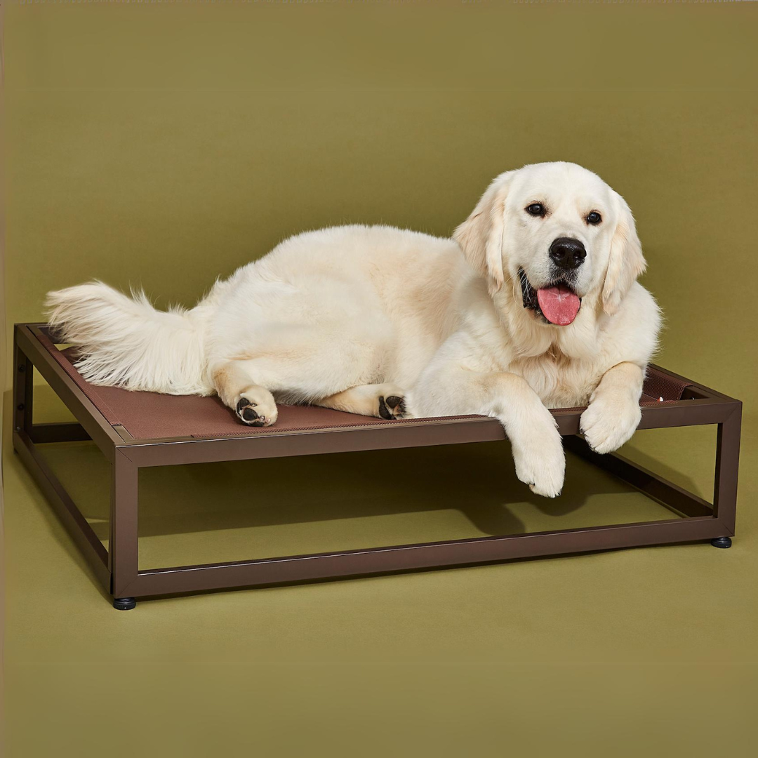 FÜZI - The Up Pup Dog Bed