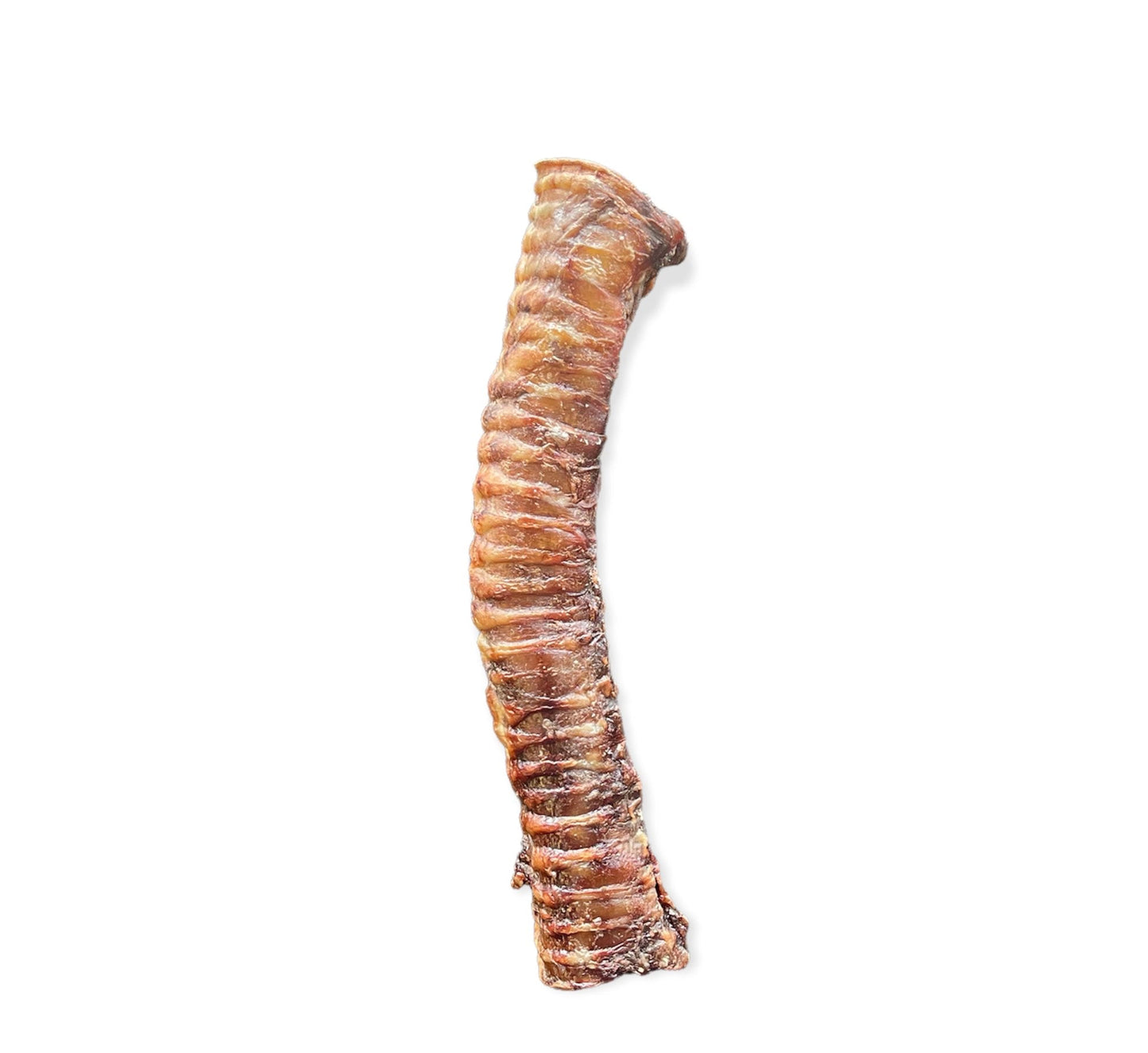 Beef Trachea