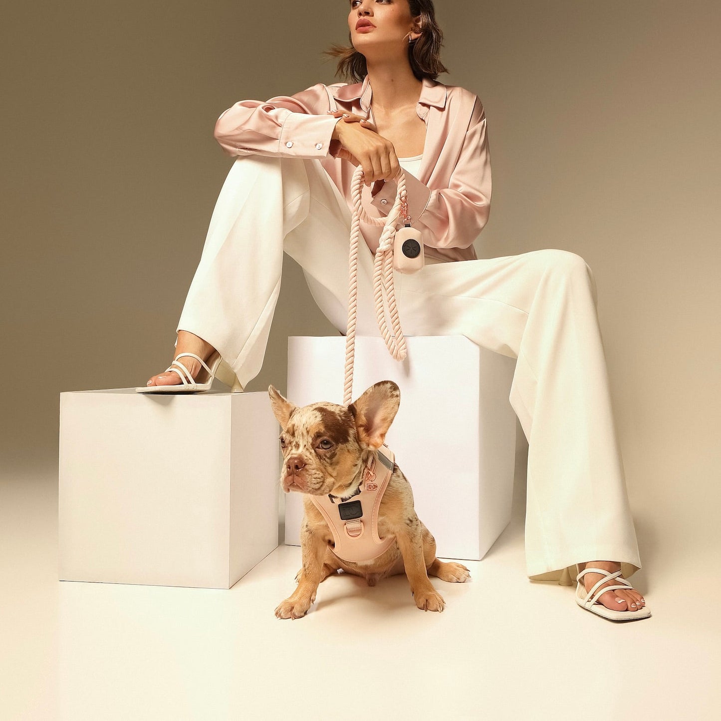 Dogistry - Poop Bag Holder - Blush