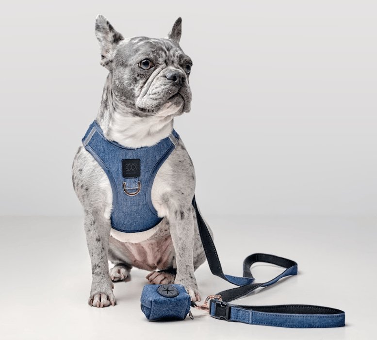 Dogistry - Poop Bag Holder - Denim