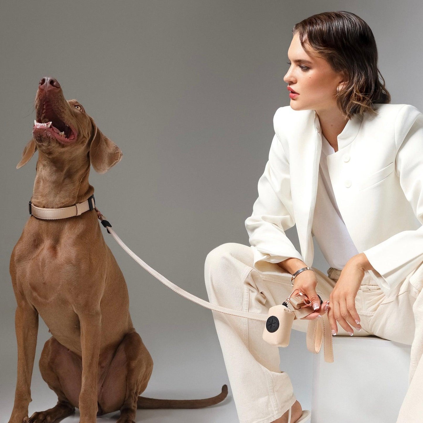 Dogistry - Poop Bag Holder - Dune
