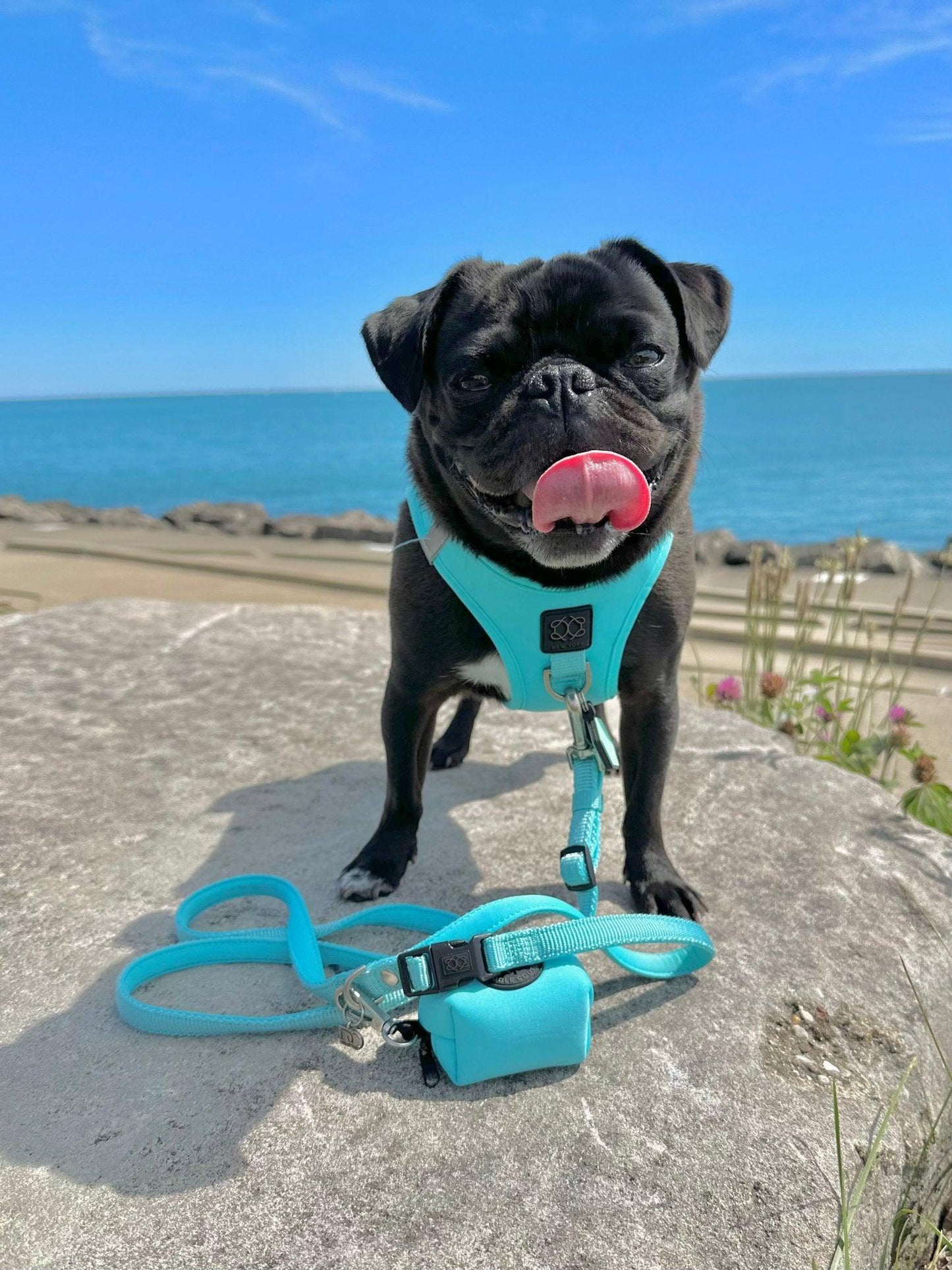 Dogistry - Poop Bag Holder - Fifth Avenue