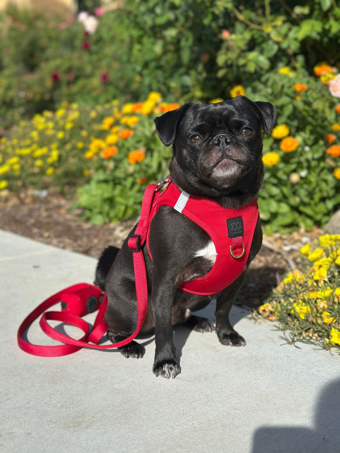 Dogistry - Poop Bag Holder - Iconic Red