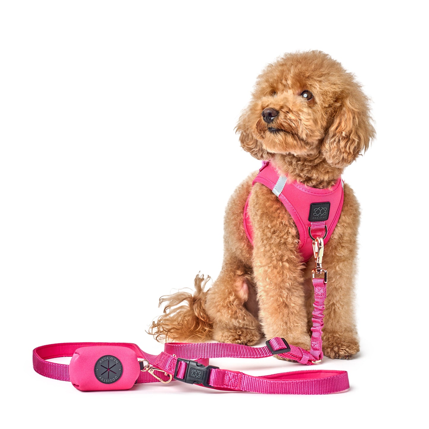 Dogistry - Poop Bag Holder - Park Ave Pink