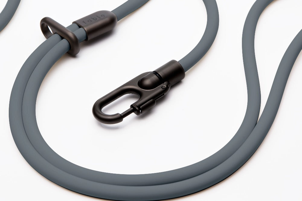Fable - Magic Link® Dog leash