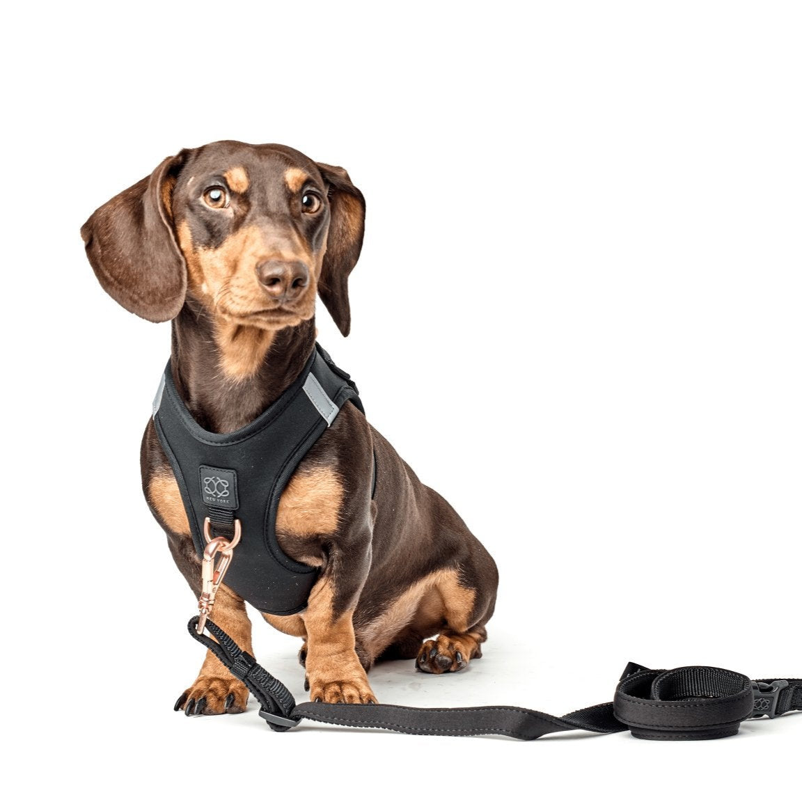 Dogistry - SoHo Dog Harness - Black