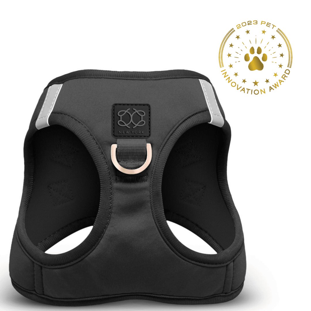 Dogistry - SoHo Dog Harness - Black