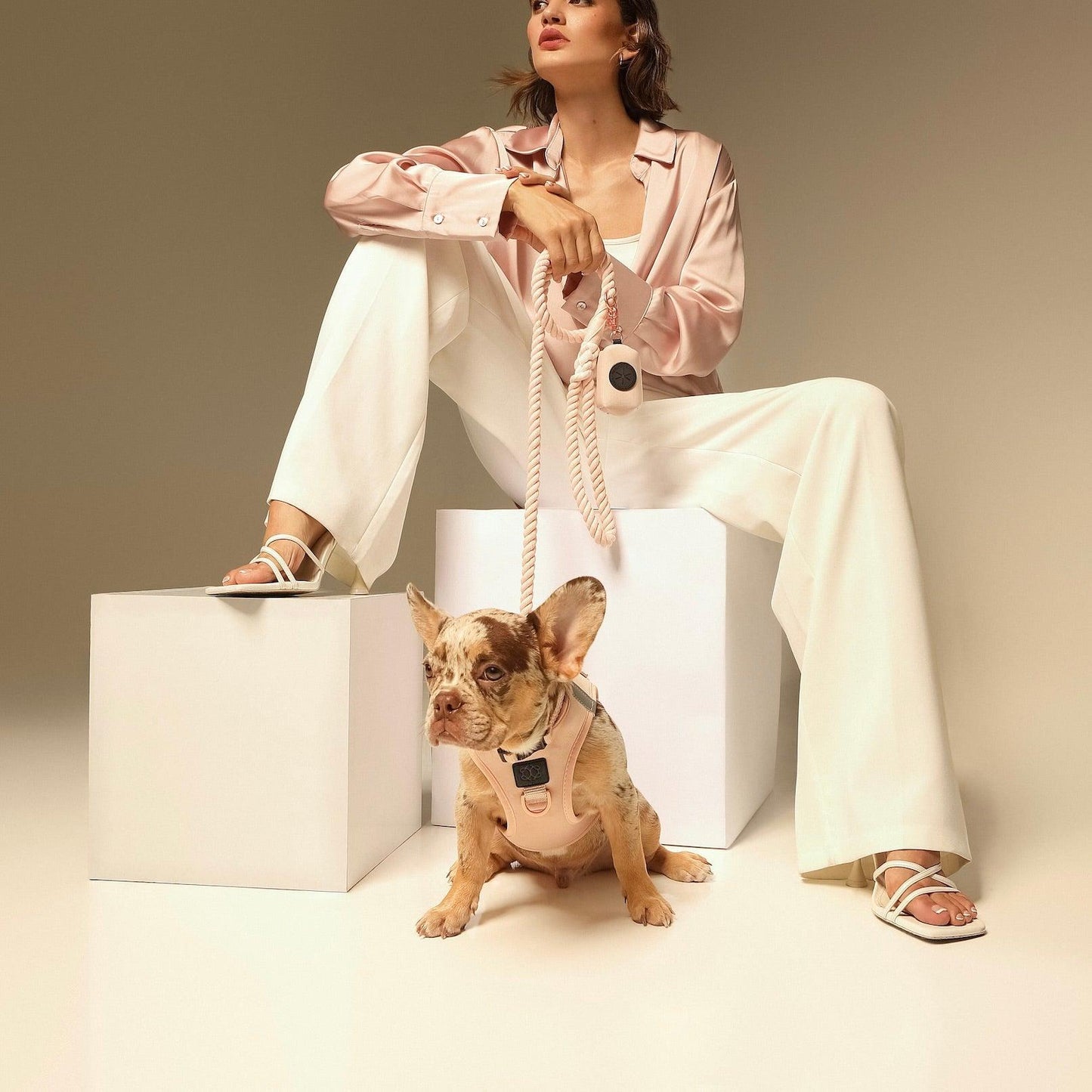 Dogistry - SoHo Dog Harness - Blush Pink
