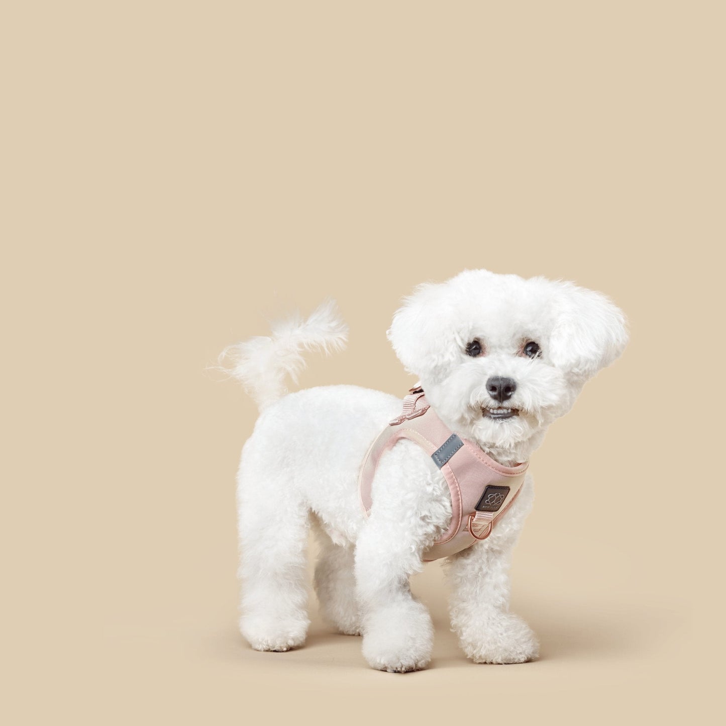 Dogistry - SoHo Dog Harness - Blush Pink