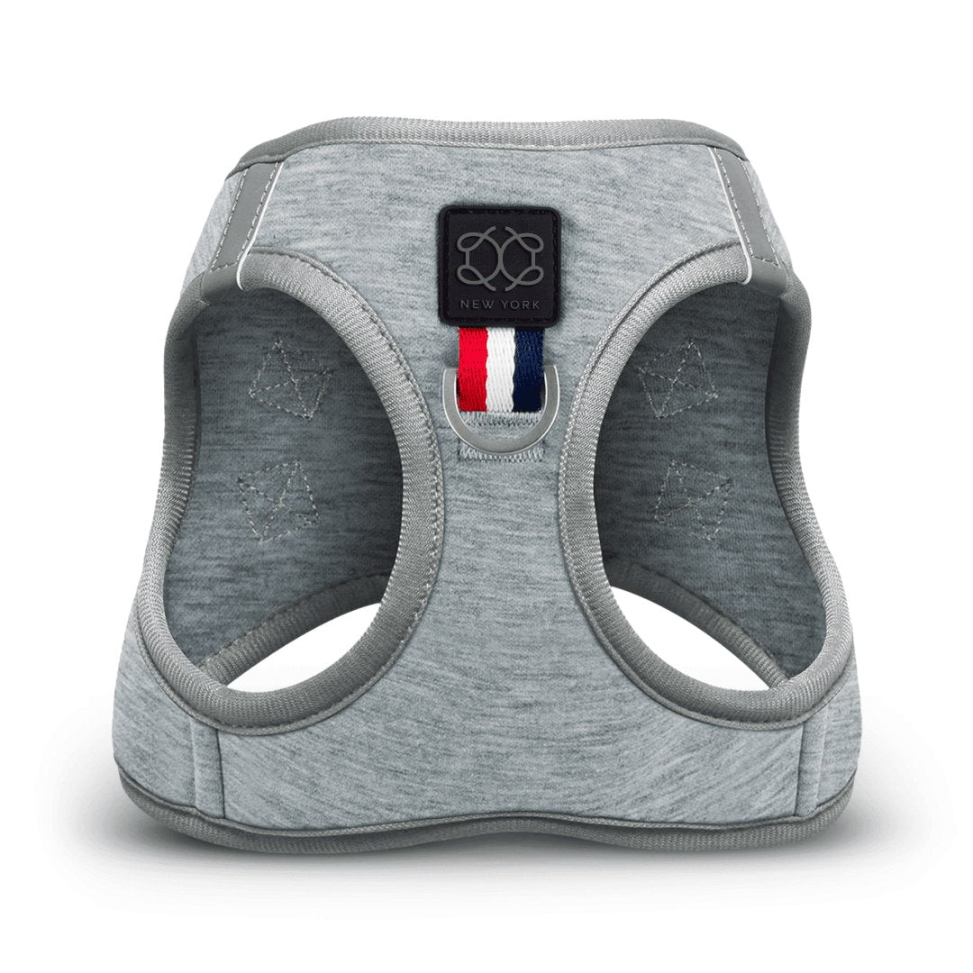 Dogistry - SoHo Dog Harness - Champion