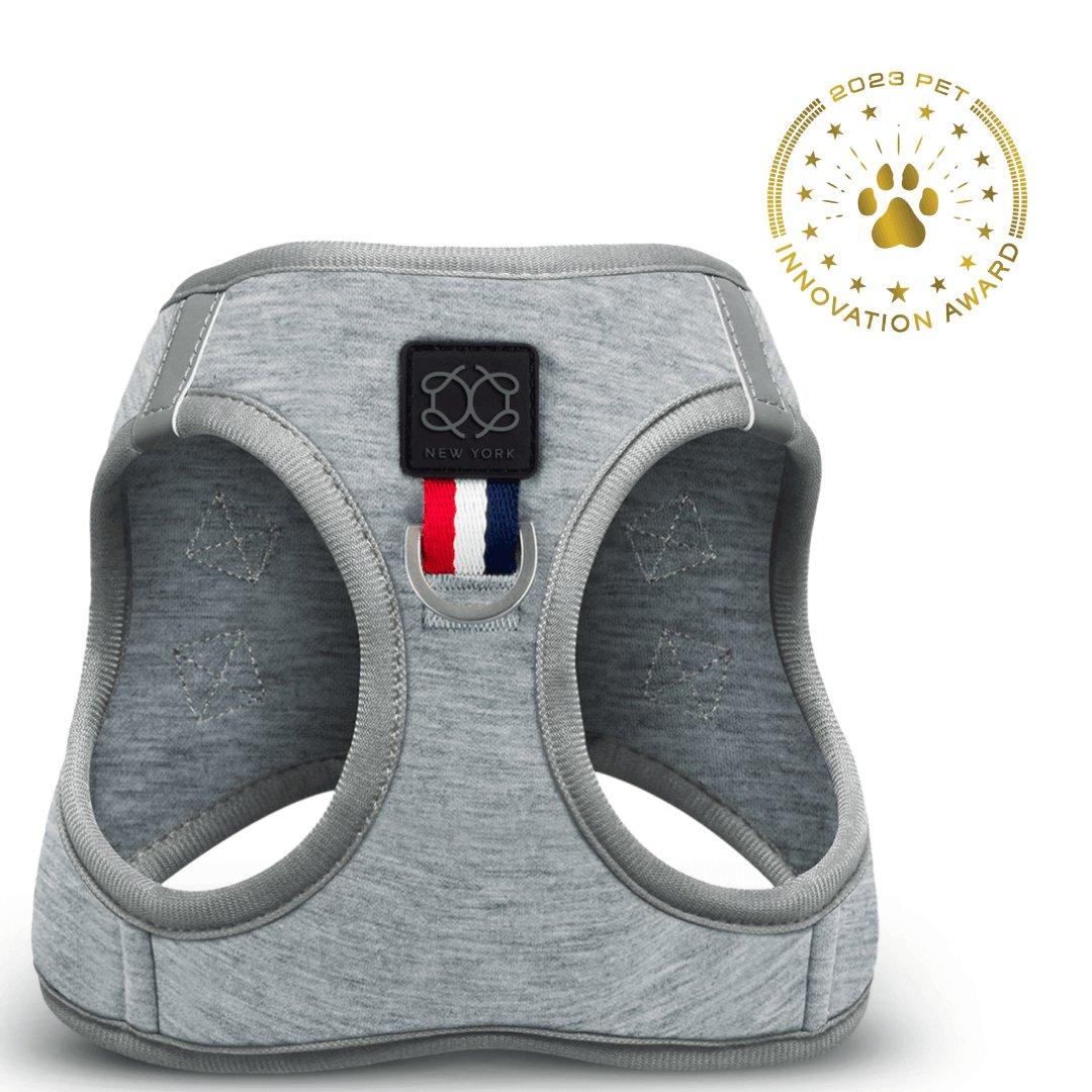 Dogistry - SoHo Dog Harness - Champion