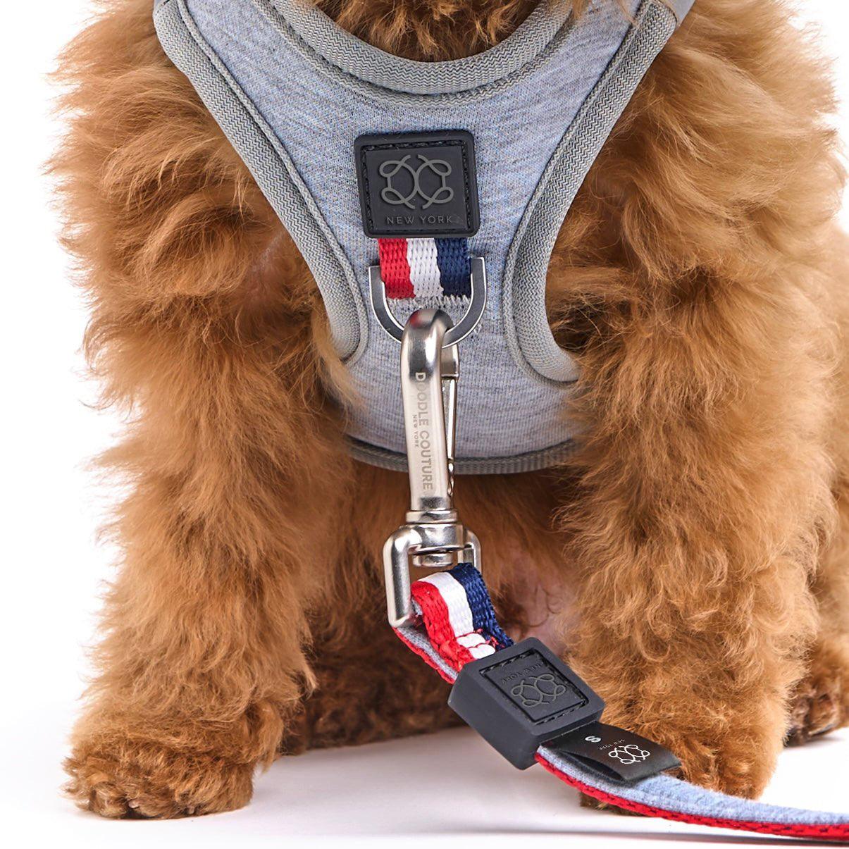 Dogistry - SoHo Dog Harness - Champion