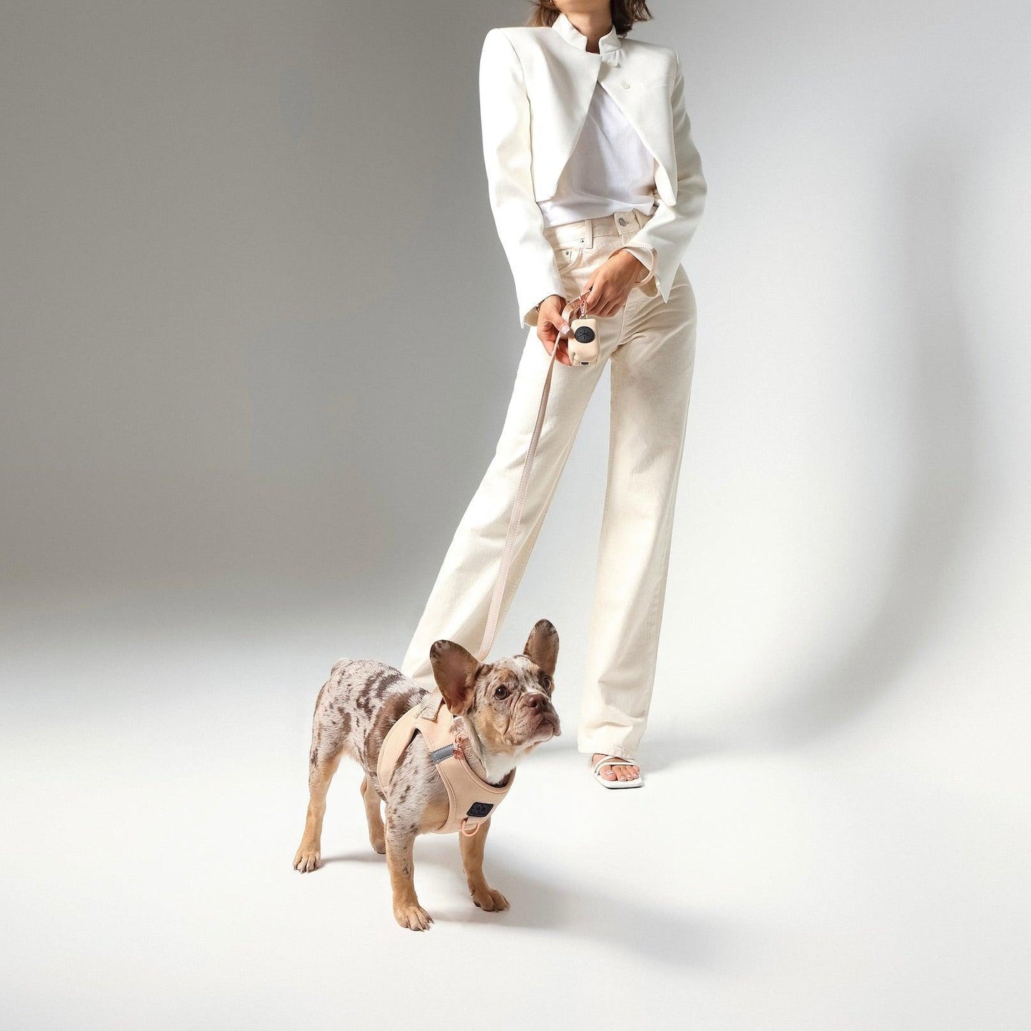 Dogistry - SoHo Dog Harness - Dune