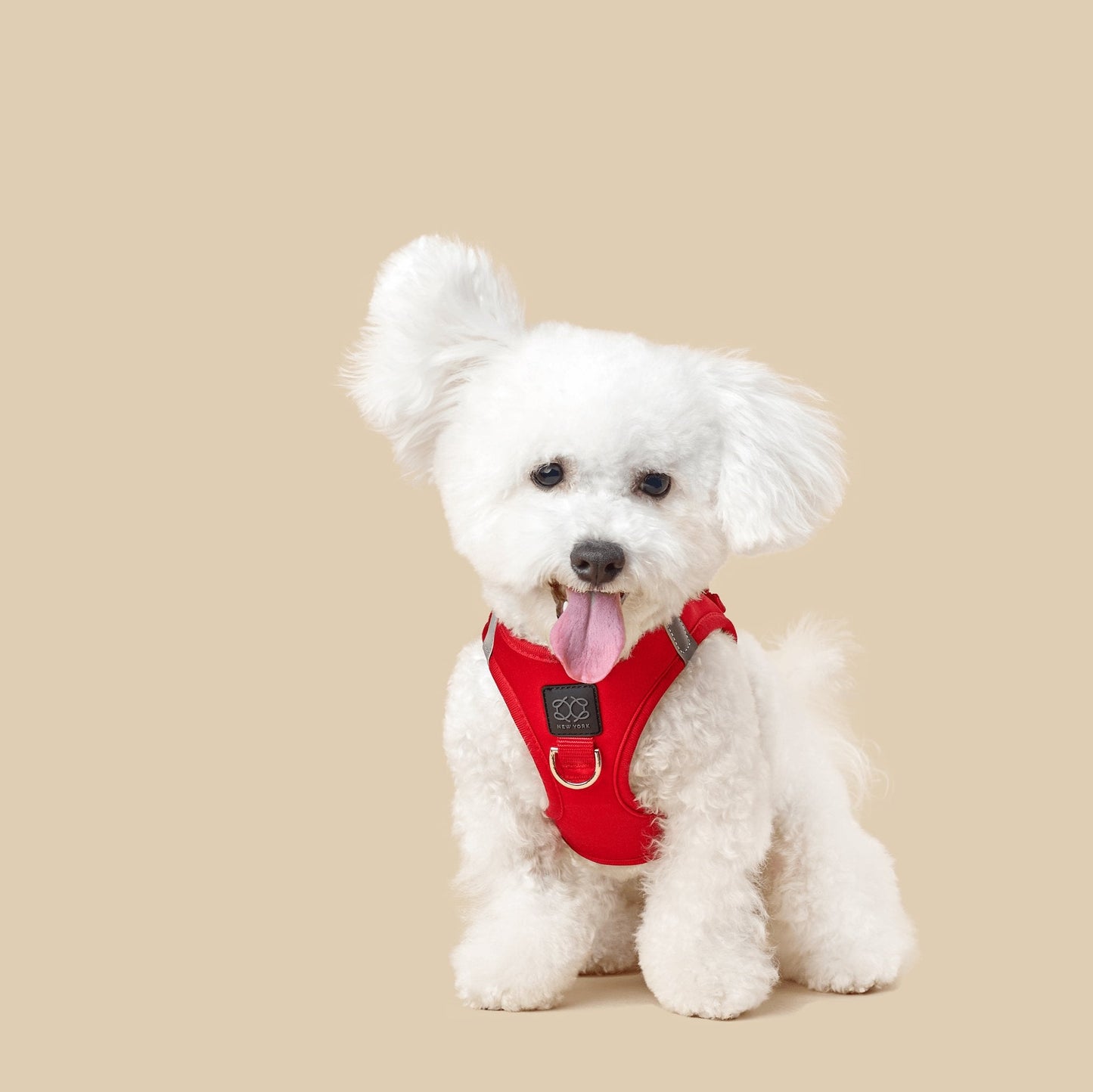 Dogistry - SoHo Dog Harness - Iconic Red