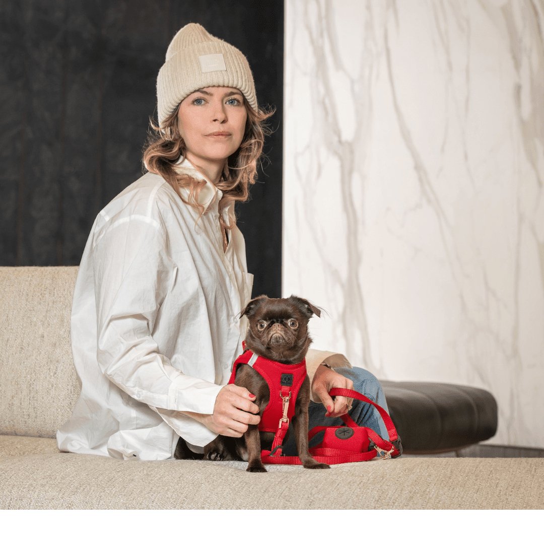 Dogistry - SoHo Dog Harness - Iconic Red