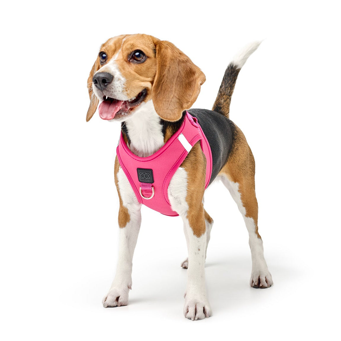 Dogistry - SoHo Dog Harness - Park Ave Pink
