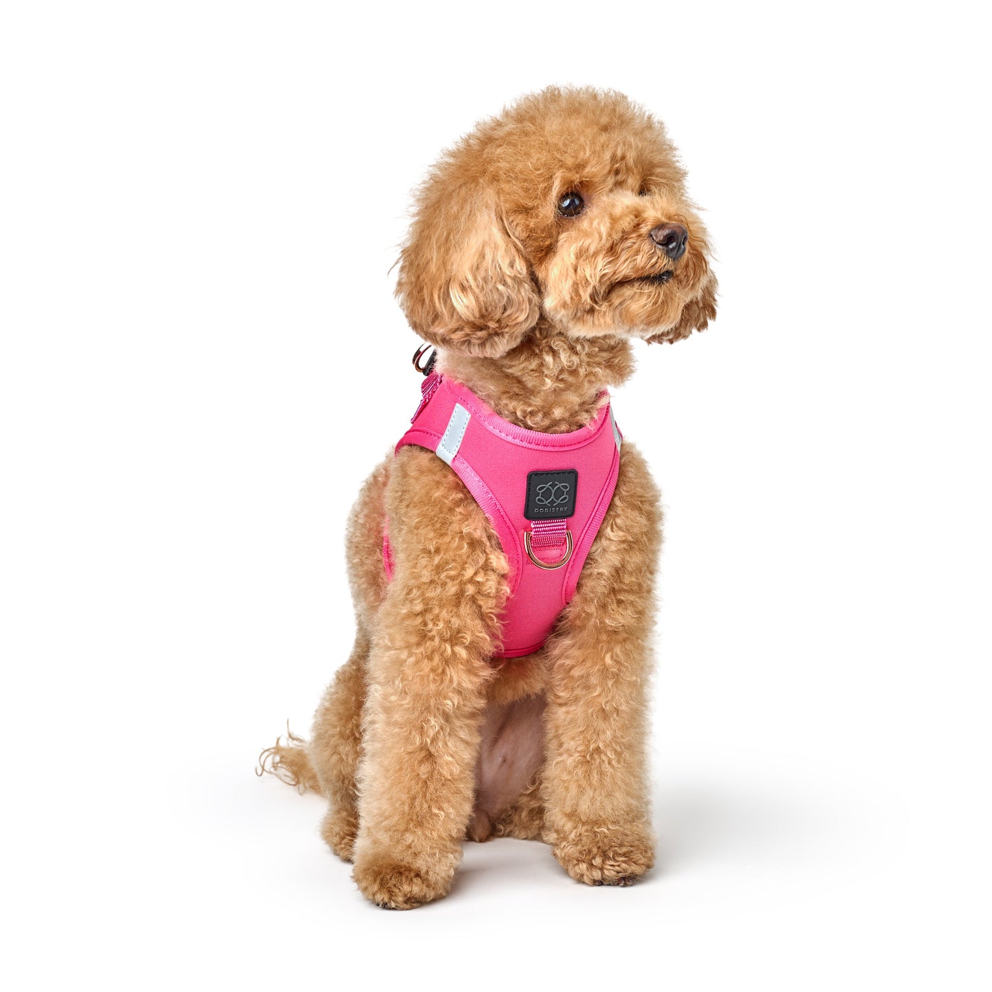 Dogistry - SoHo Dog Harness - Park Ave Pink