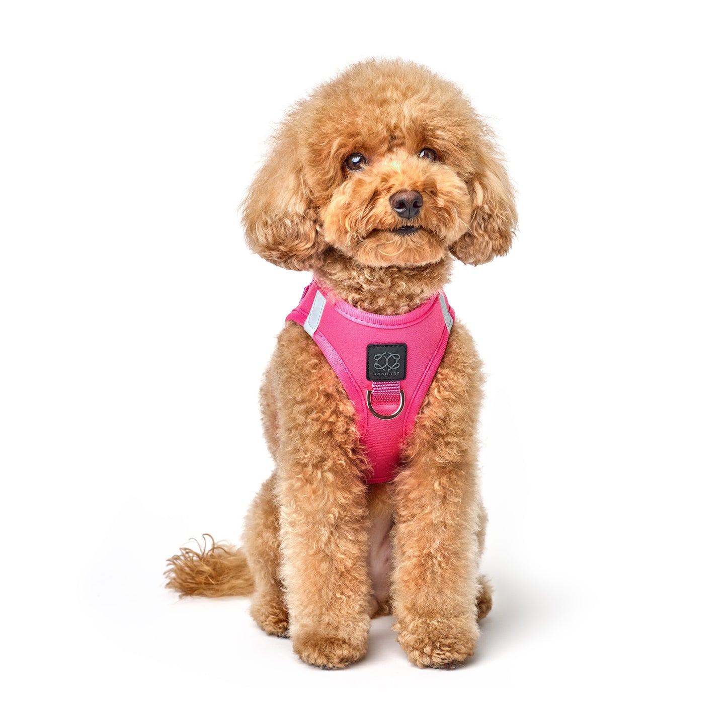 Dogistry - SoHo Dog Harness - Park Ave Pink