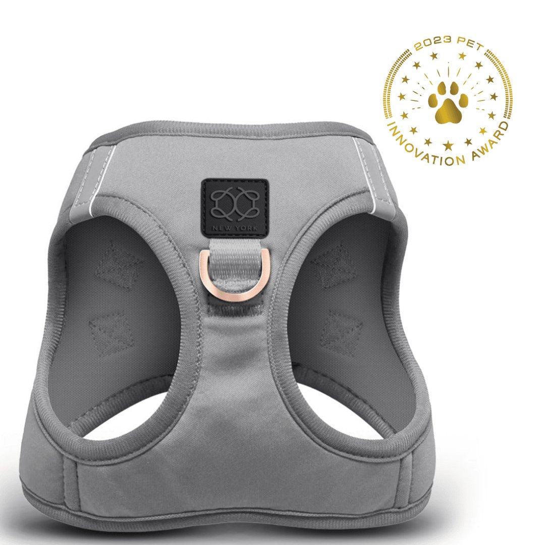 Dogistry - SoHo Dog Harness - Steel