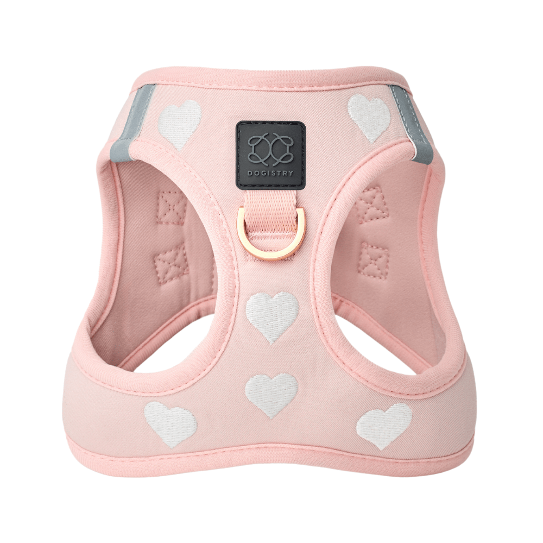 Dogistry - SoHo Dog Harness - Sweetheart