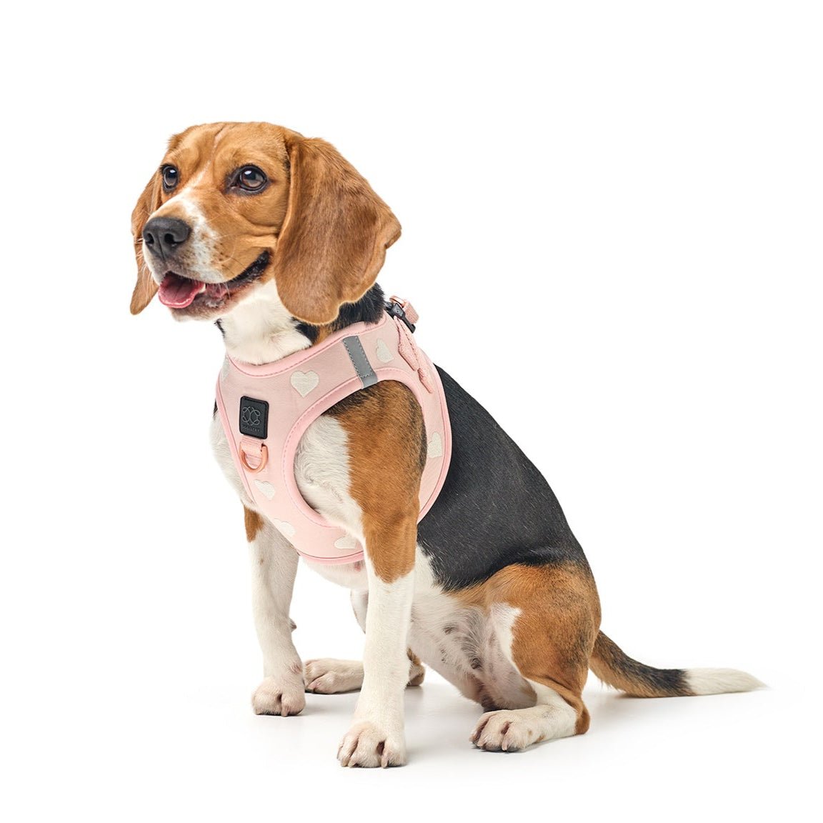 Dogistry - SoHo Dog Harness - Sweetheart