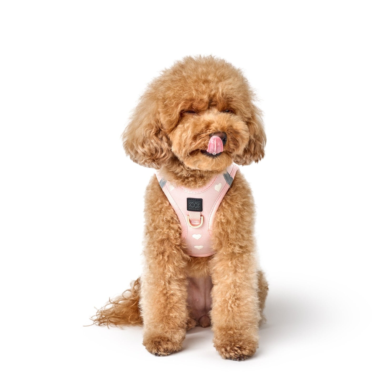 Dogistry - SoHo Dog Harness - Sweetheart