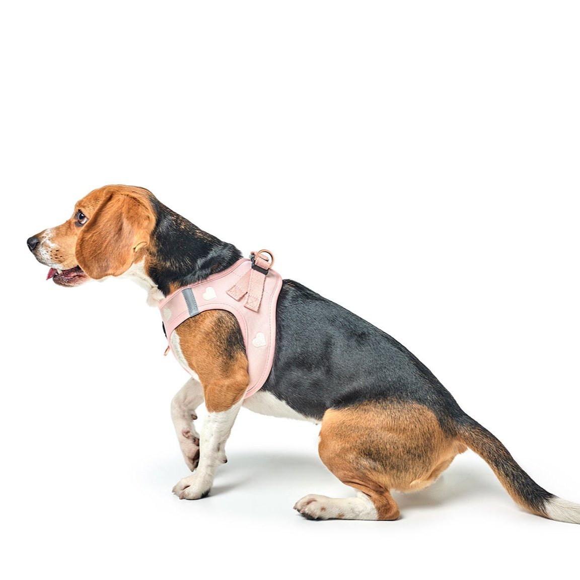Dogistry - SoHo Dog Harness - Sweetheart