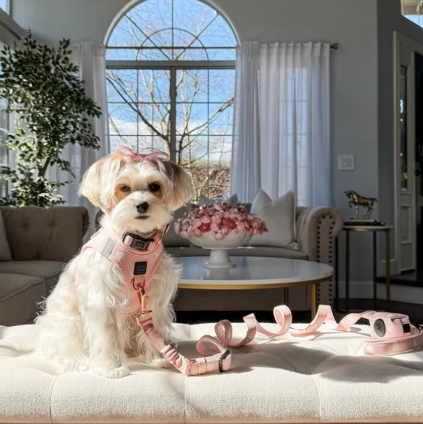 Dogistry - SoHo Dog Harness - Sweetheart