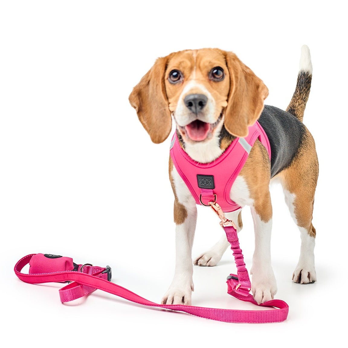 Dogistry - Poop Bag Holder - Park Ave Pink