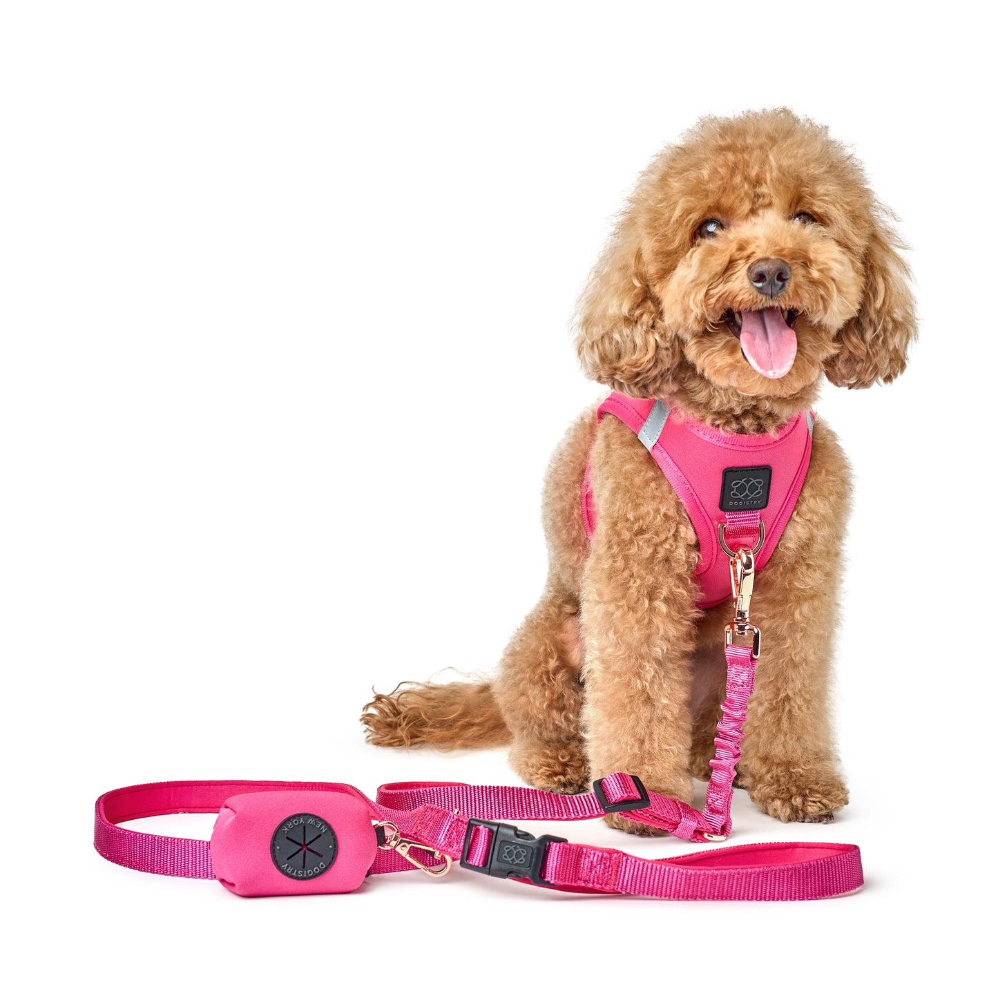 Dogistry - 3-in-1 City Dog Leash - Park Ave Pink