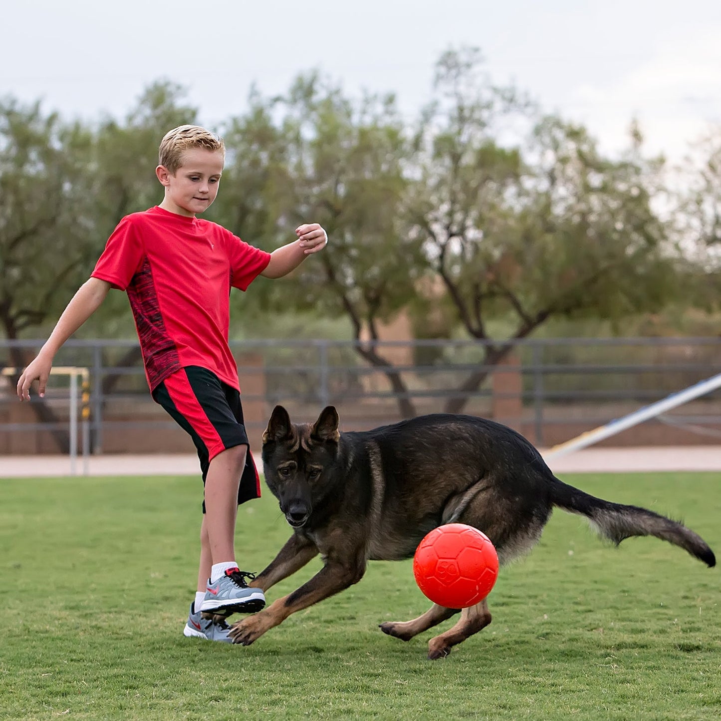 Jolly Pets - Jolly Soccer Ball