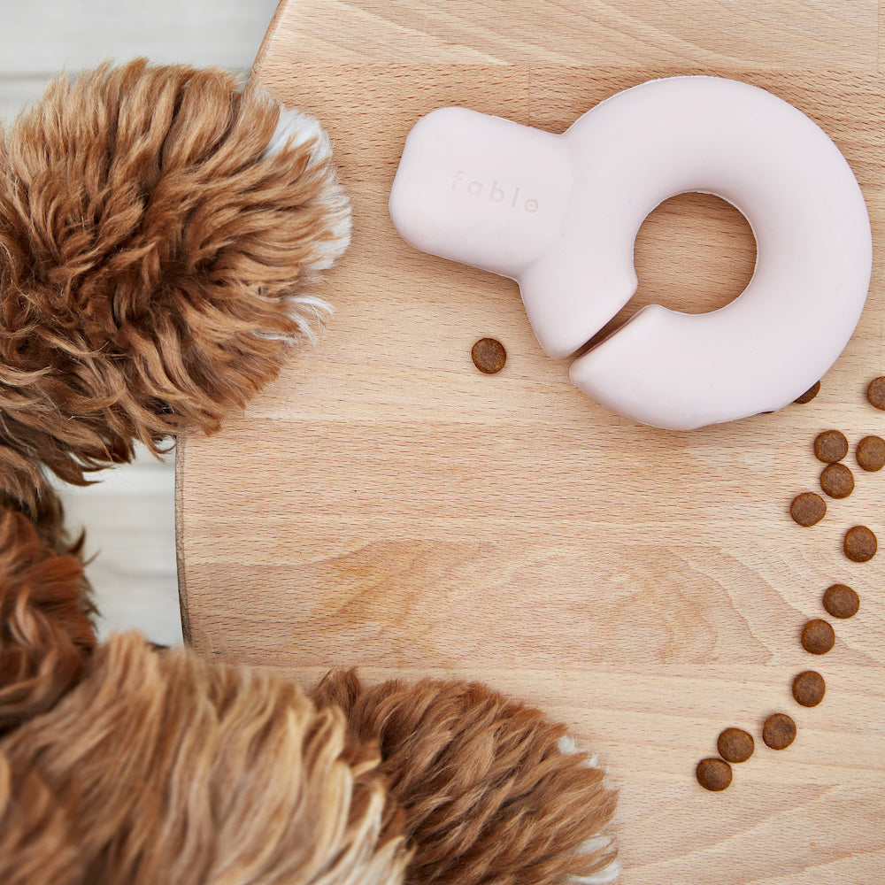 Fable - Falcon Dog Toy™