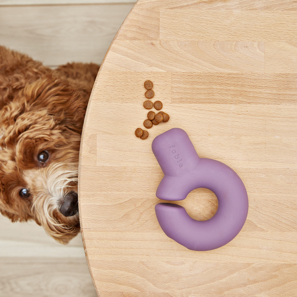 Fable - Falcon Dog Toy™