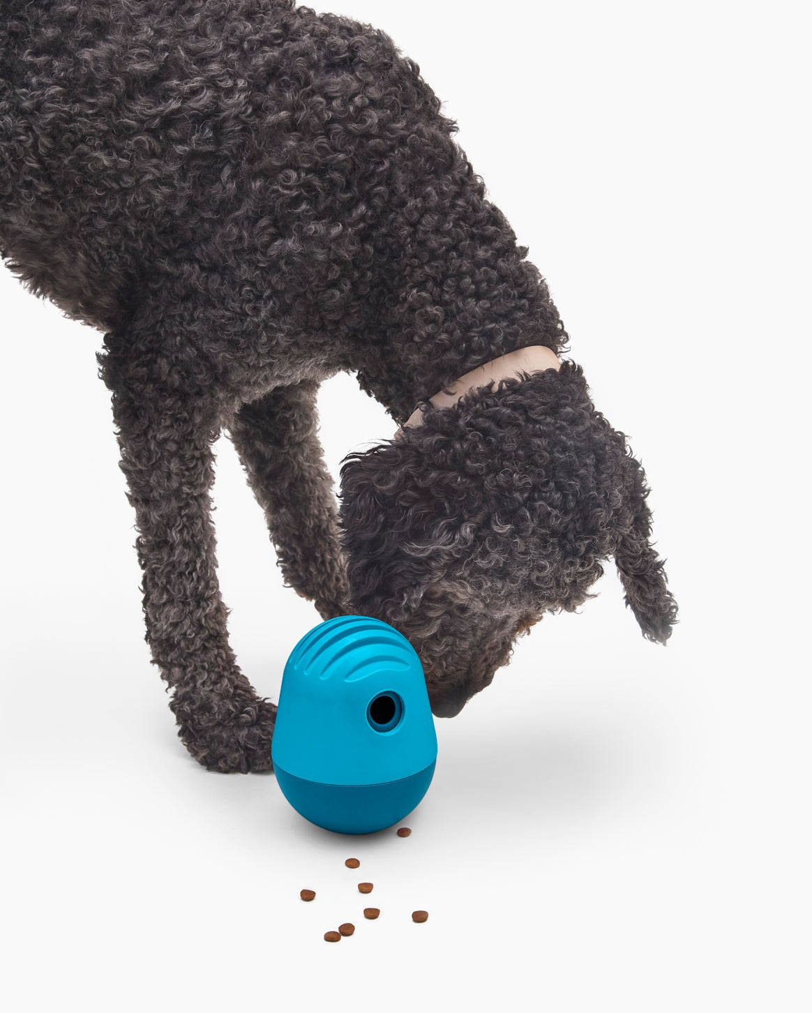 Fable - The Puffin™ Game Dog Toy