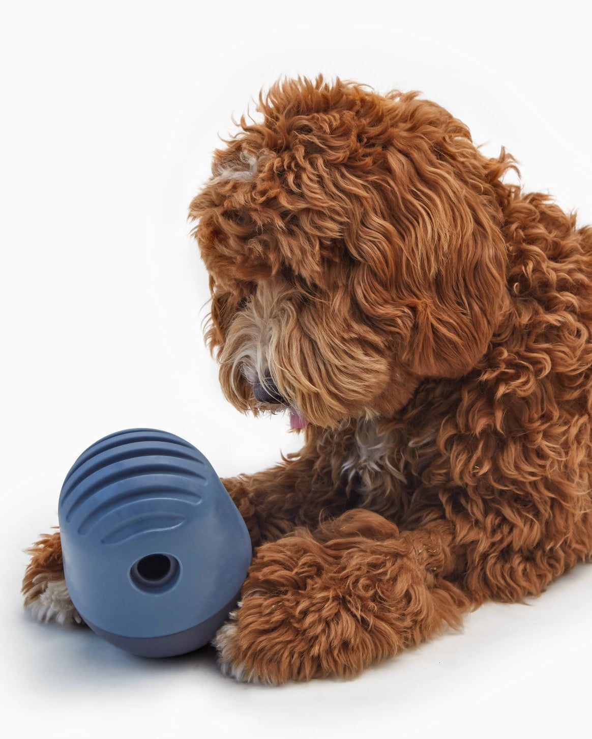 Fable - The Puffin™ Game Dog Toy