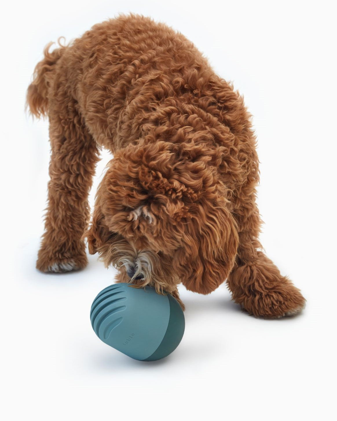 Fable - The Puffin™ Game Dog Toy