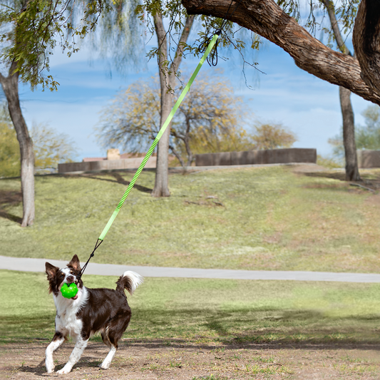 Jolly Pets - Tree Tugger