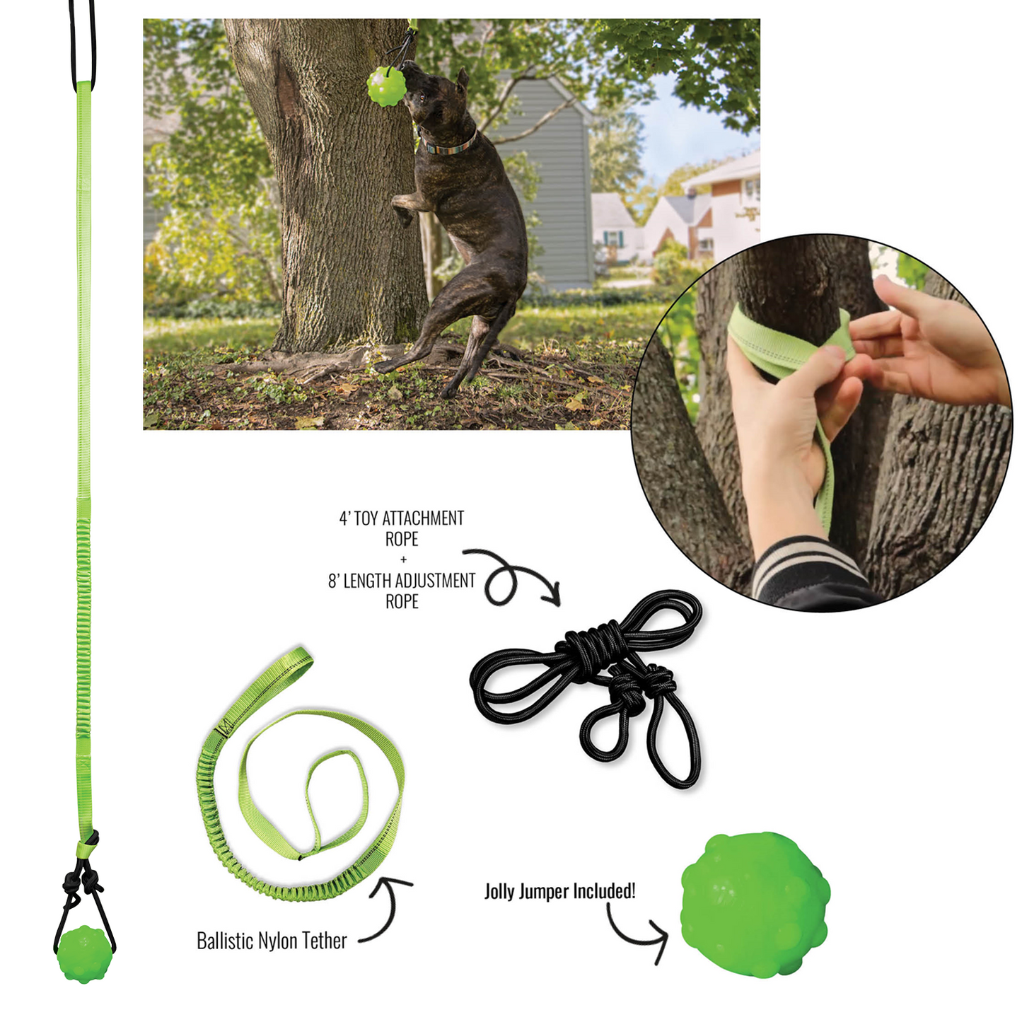 Jolly Pets - Tree Tugger