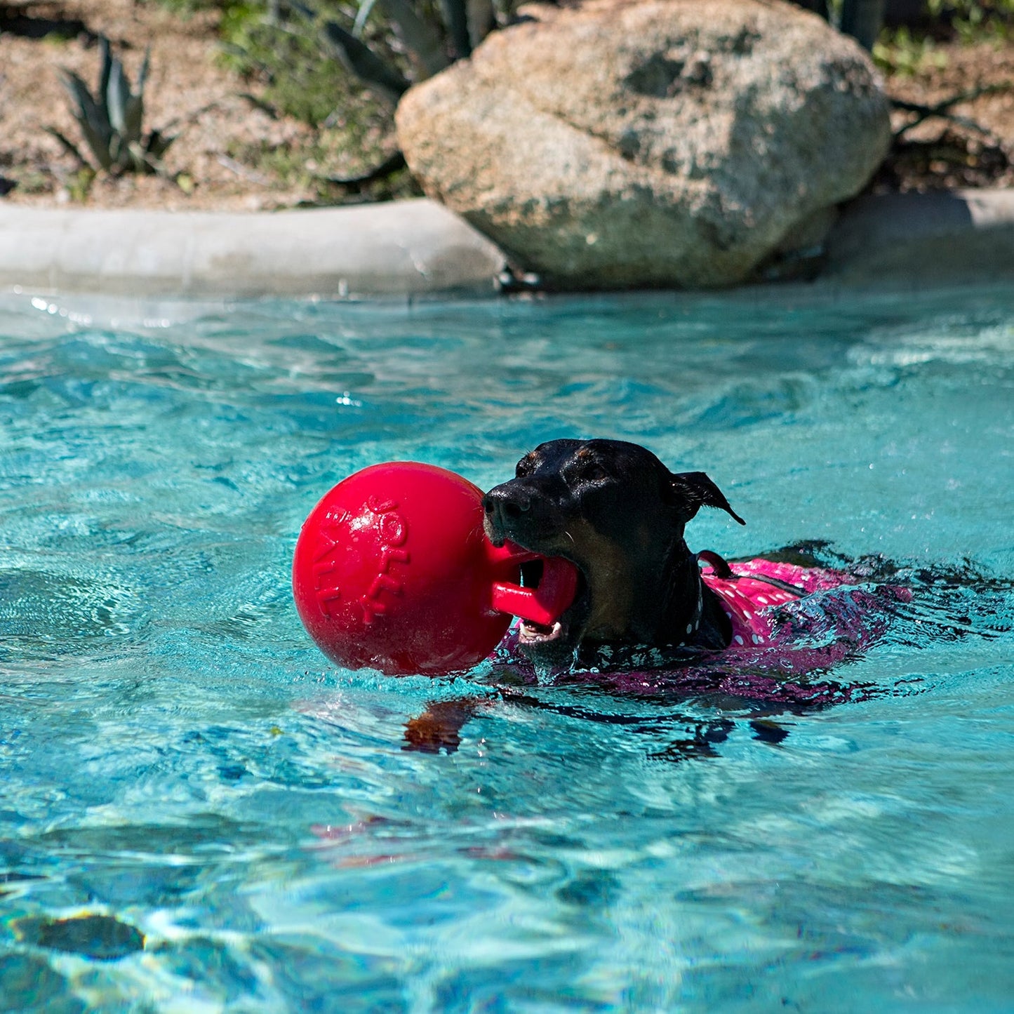 Jolly Pets - Tug-n-Toss