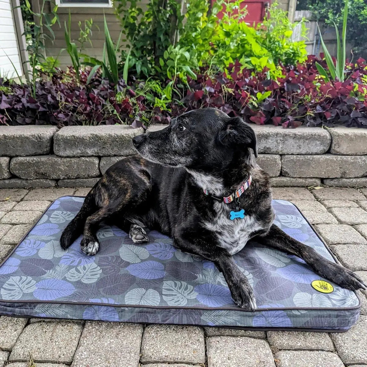 K9 Outdoors - Body Glove Sand & Sun Tough Mat Dog Bed