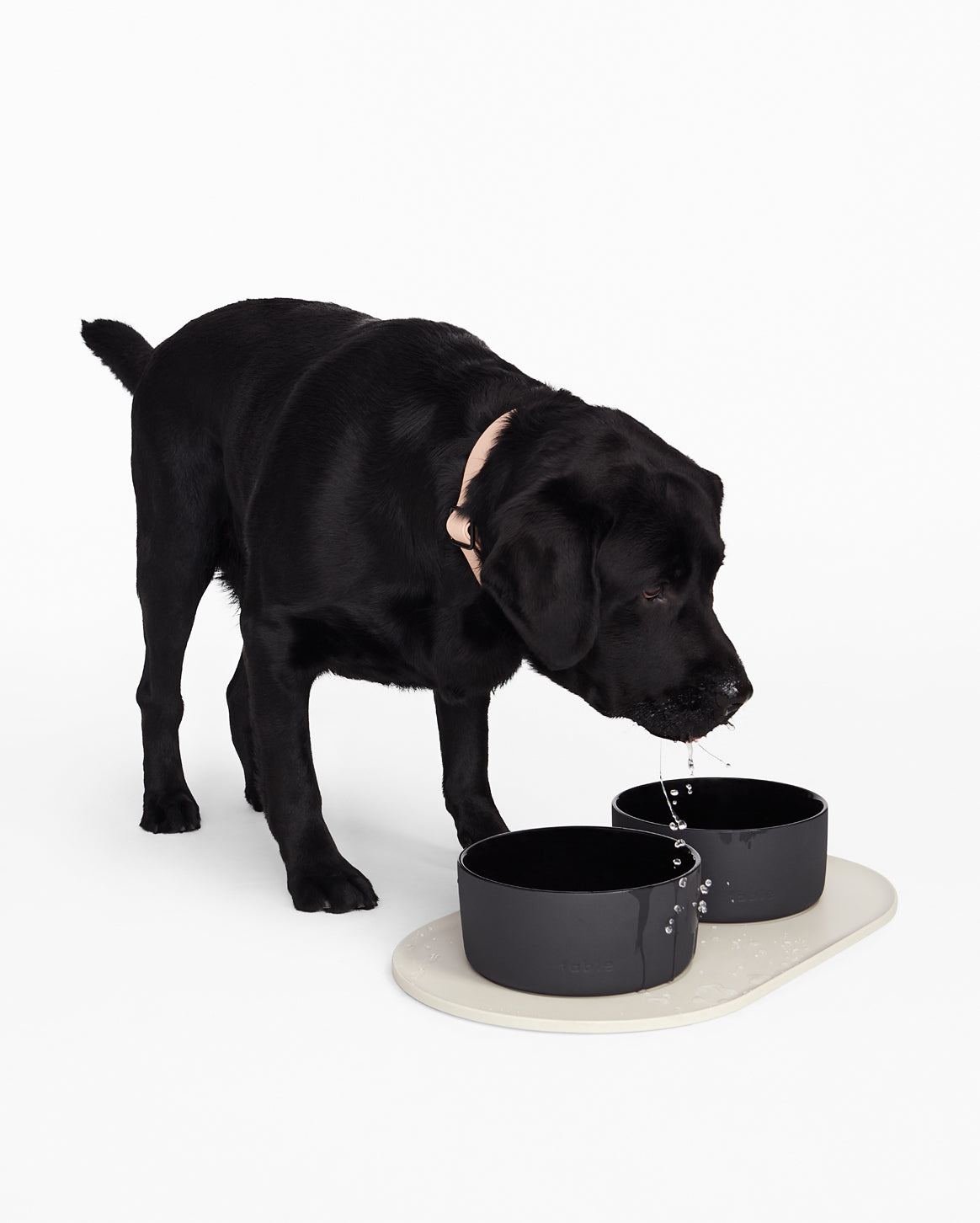 Fable - Signature Bowl Mat