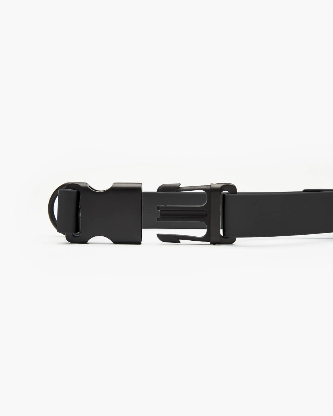 Fable - Signature Dog Collar