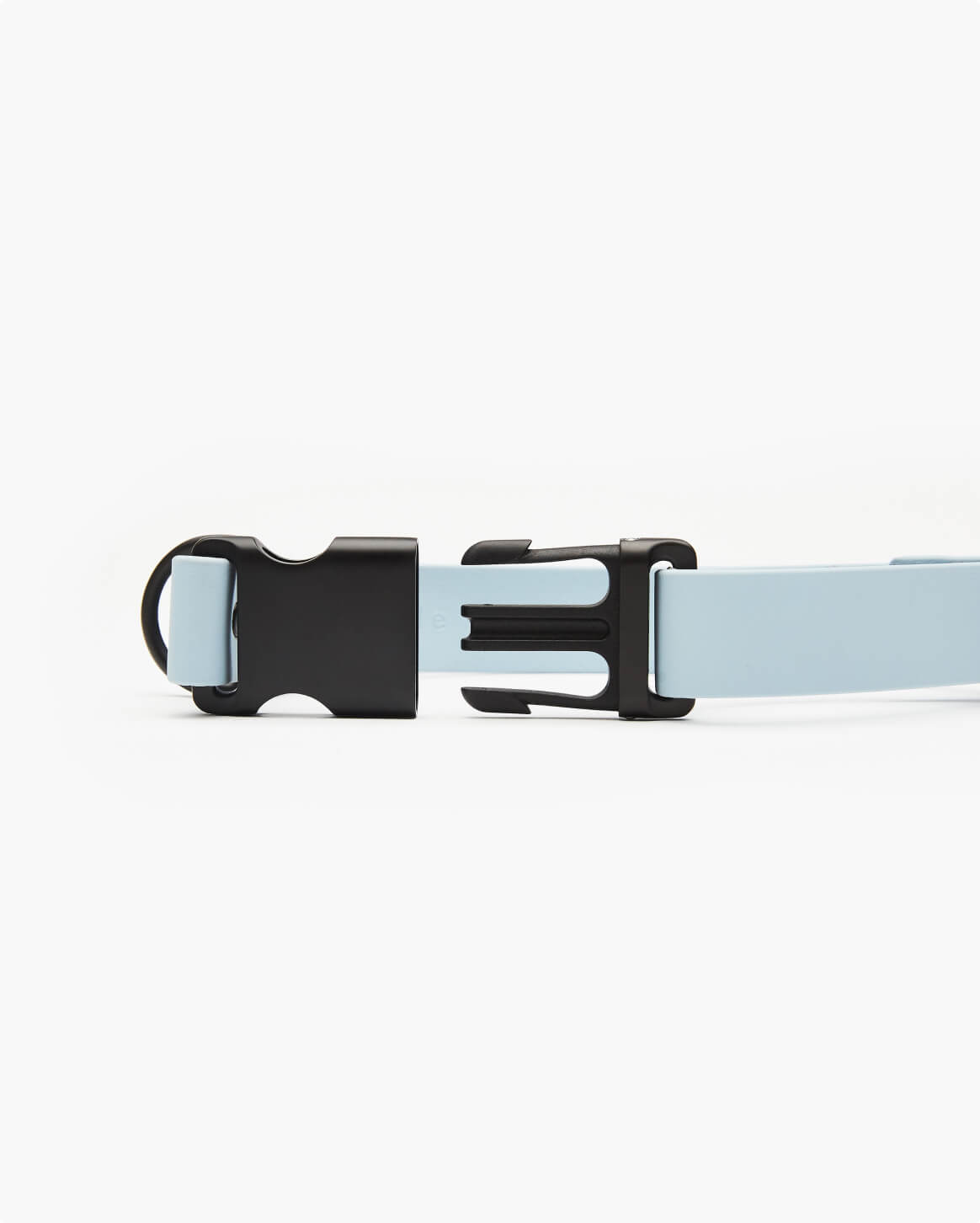 Fable - Signature Dog Collar