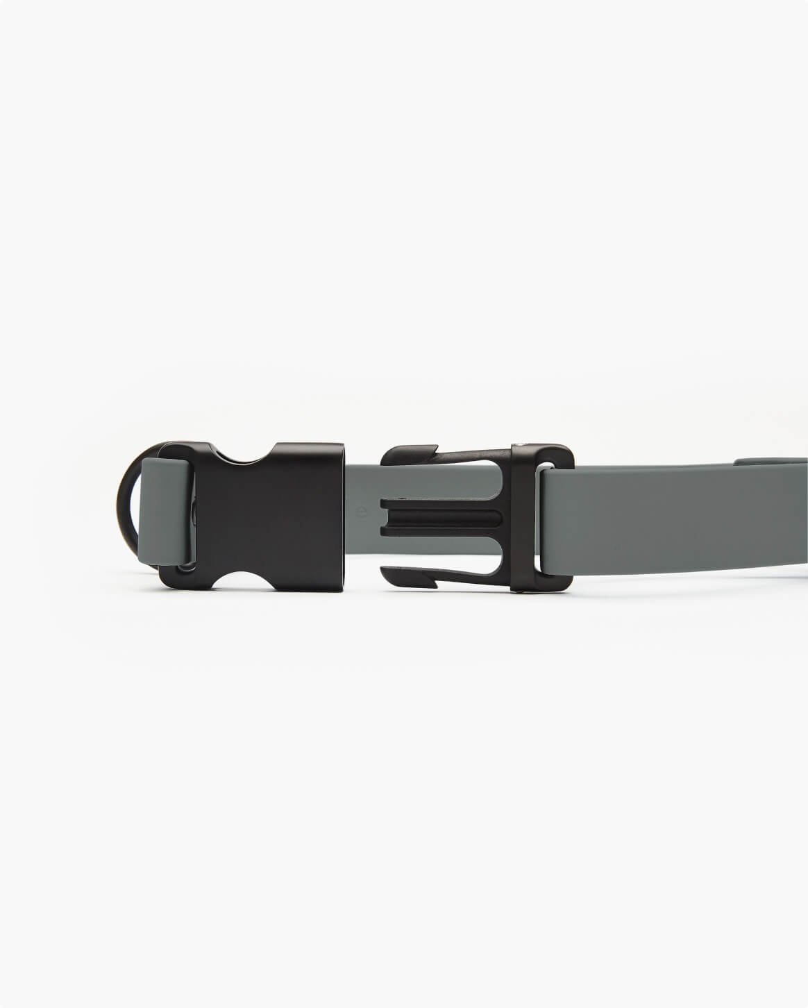 Fable - Signature Dog Collar