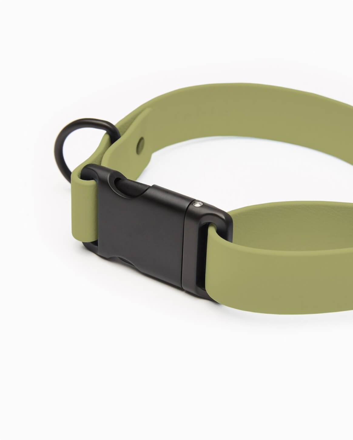 Fable - Signature Dog Collar