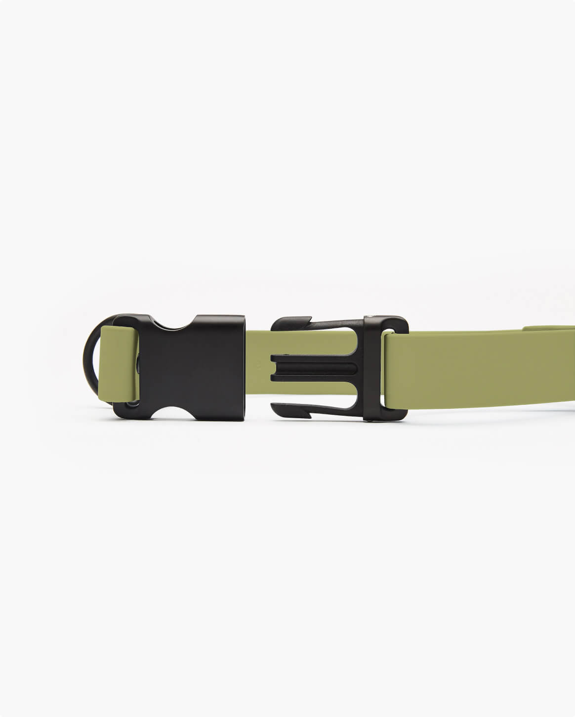 Fable - Signature Dog Collar