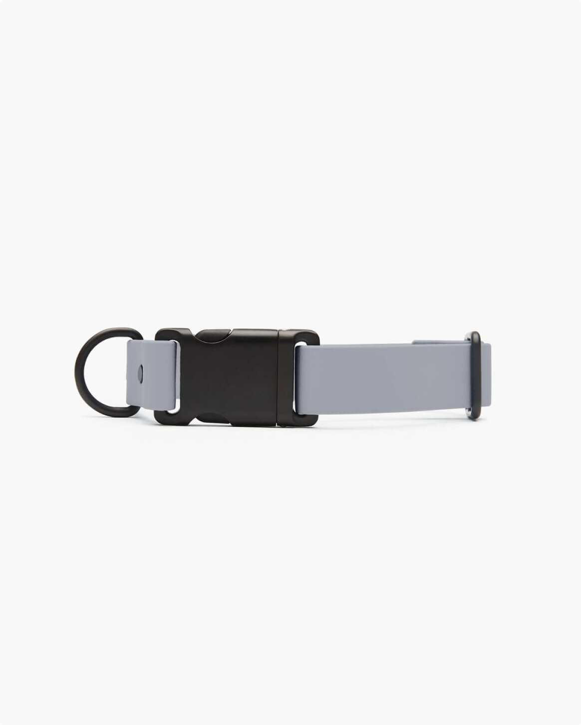 Fable - Signature Dog Collar