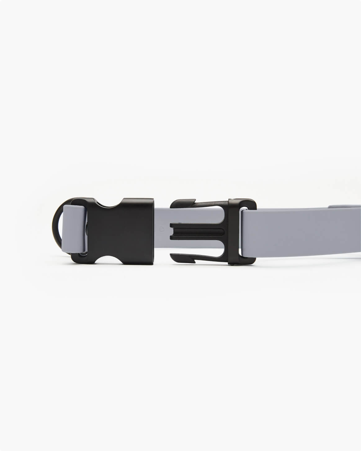 Fable - Signature Dog Collar