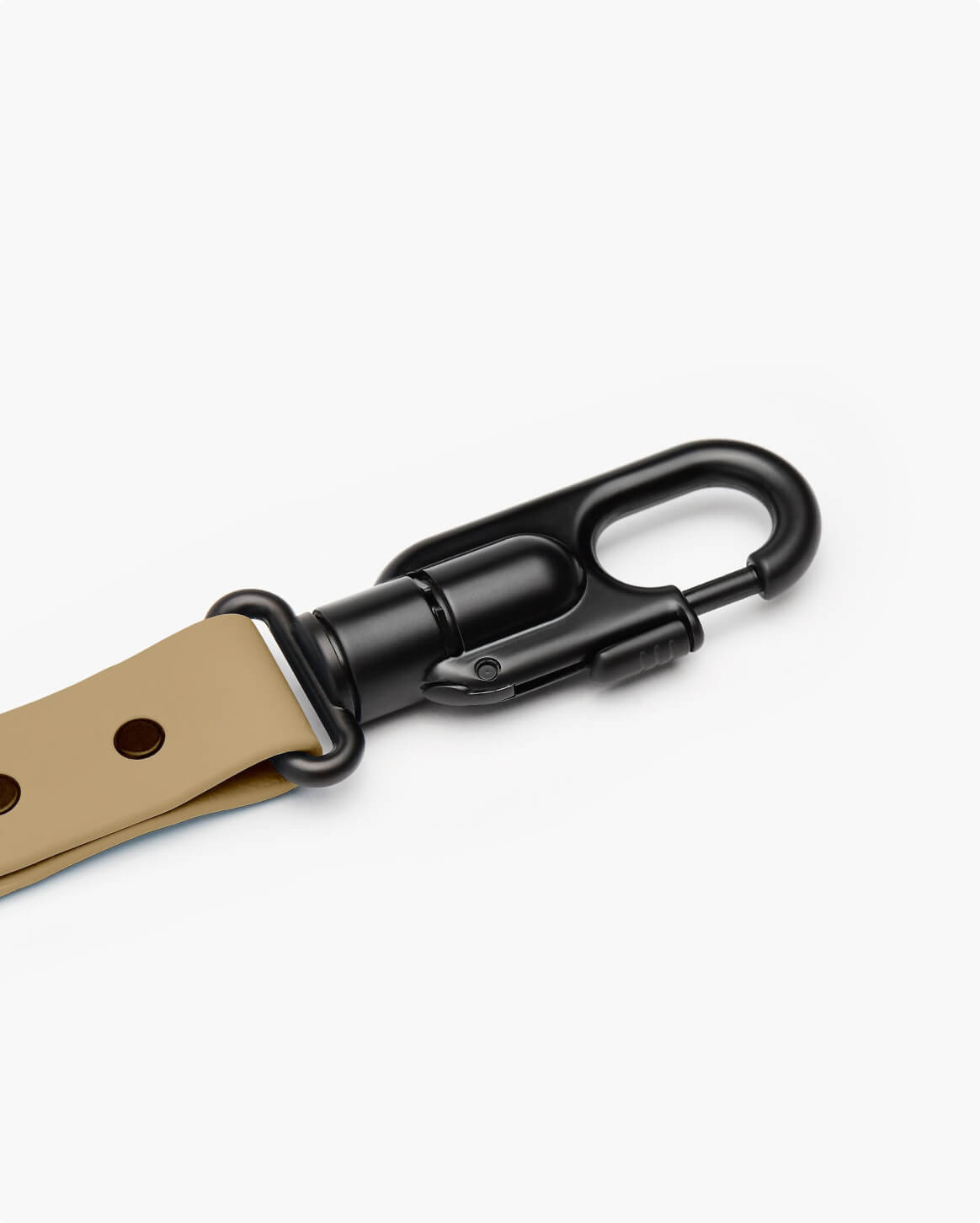Fable - Signature Dog Collar