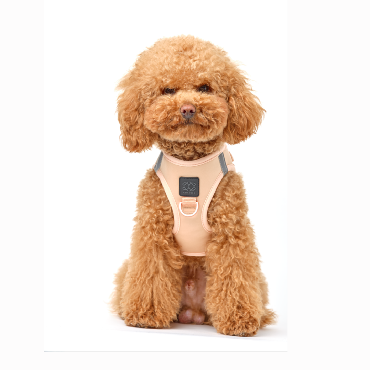 Dogistry - SoHo Dog Harness - Dune